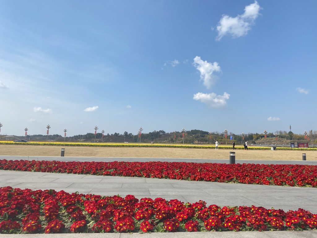 20分钟到达兴隆湖湿地公园打卡拍照拍拖-虹马彩虹网
